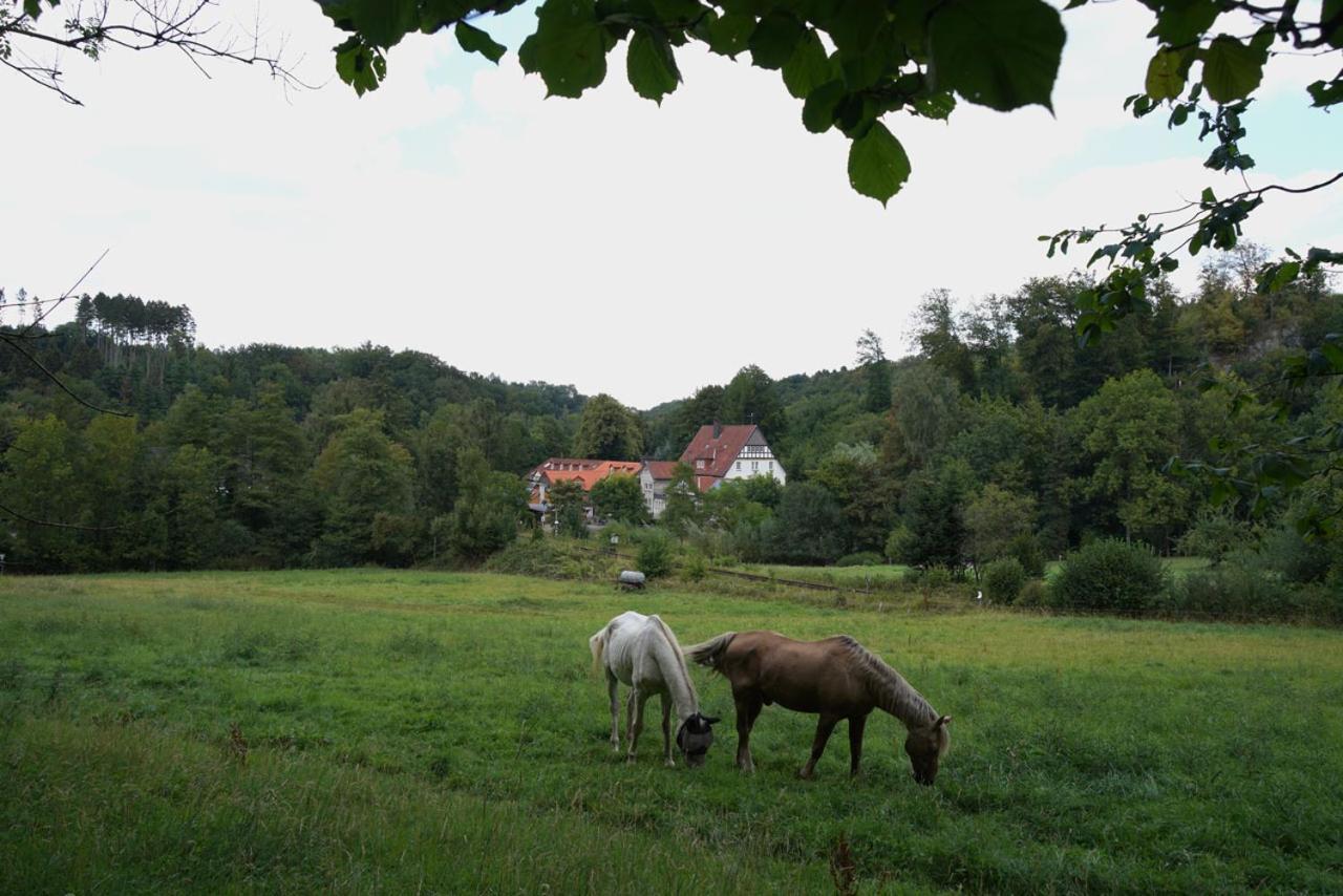 Hotel Haus Recke Balve Dış mekan fotoğraf